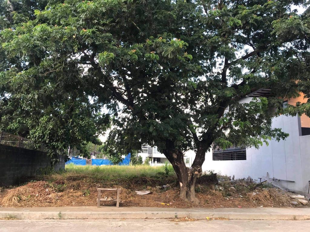 (Category: ) located in . Submitted by projectdeclutter_mnl (Listing ID 1090111552, Image 1). Description: .