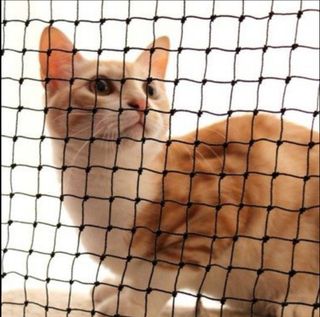 (Category: ) located in . Submitted by meowshopp (Listing ID 1068895766, Image 1). Description: .