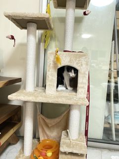 (Category: ) located in . Submitted by parsnipss (Listing ID 1090384068, Image 1). Description: .