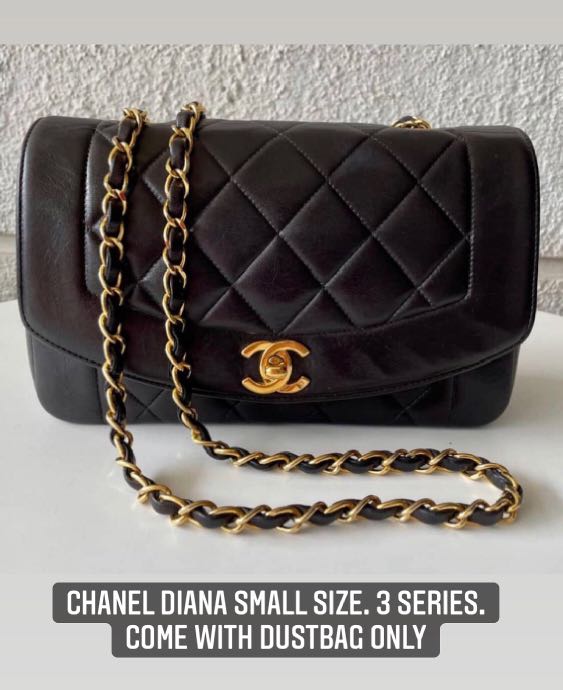 chanel diana small size