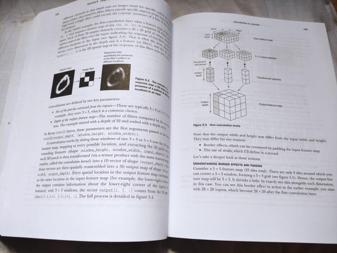 Deep Learning with Python by Francois Chollet | Manning | Book, Hobbies ...