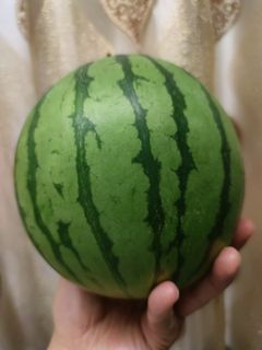 （分類：）位於 。 由 40706893 提交（商品編號 1090395790，圖片 1）。簡介： 。