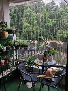 (Category: ) located in . Submitted by chazzara (Listing ID 1090414216, Image 1). Description: .
