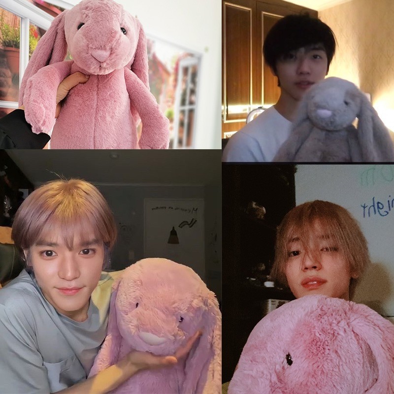 taeyong bunny plush