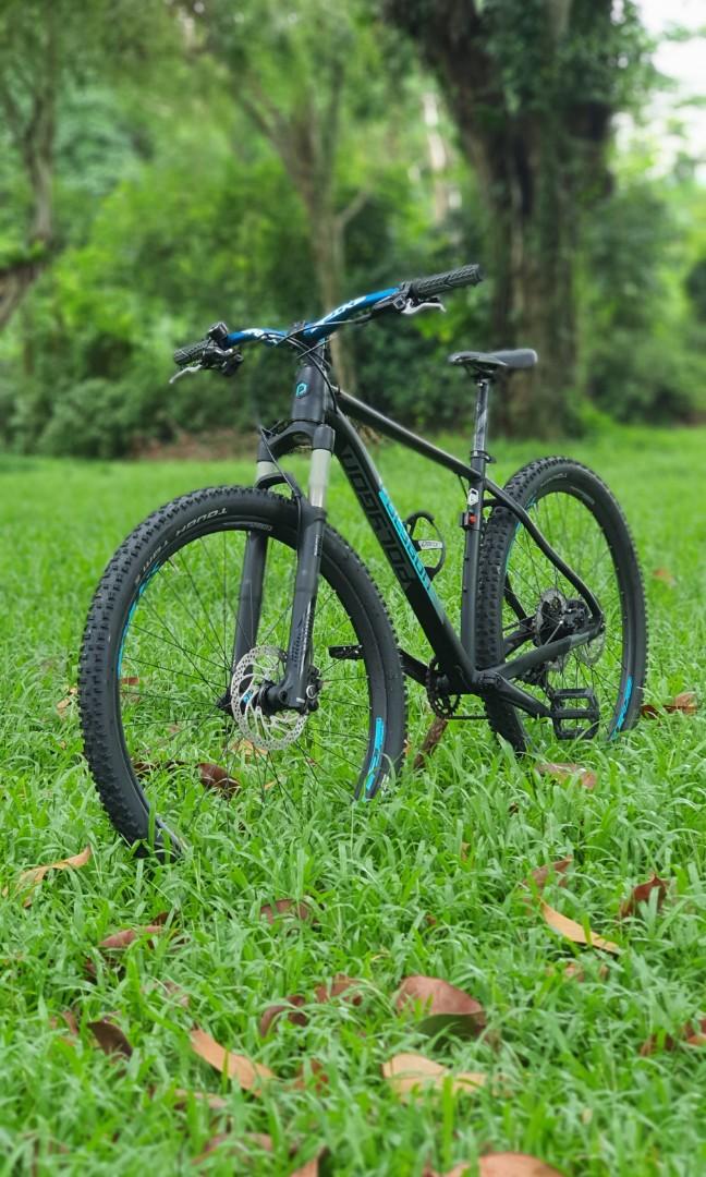 Polygon xtrada 8 29er top