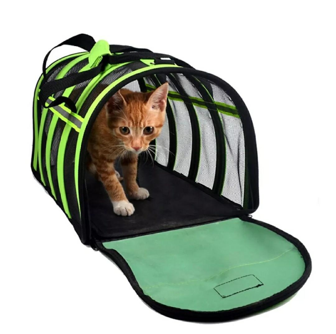 Portable Pet Travel Carrier pls visit our Lazada shop