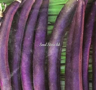 （分類：）位於 。 由 seedstorehk 提交（商品編號 1090423865，圖片 1）。簡介： 。