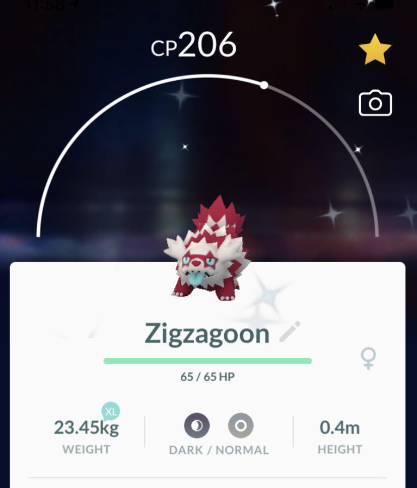 Shiny Zigzagoon Galarian Pokemon Go Video Gaming Video Games Others On Carousell Shiny Zigzagoon Galarian Pokemon Go Video Gaming Video Games Others On Carousell