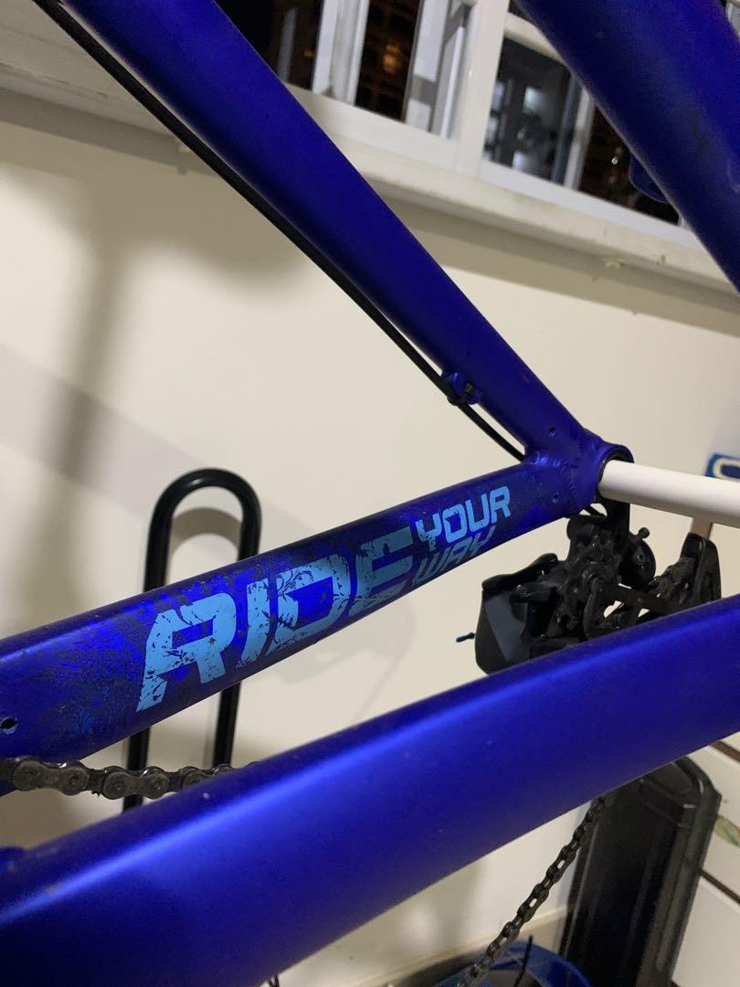 dartmoor hornet 4x frame