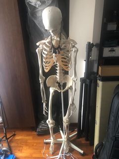 (Category: ) located in . Submitted by psychosaurus (Listing ID 1090523878, Image 1). Description: .