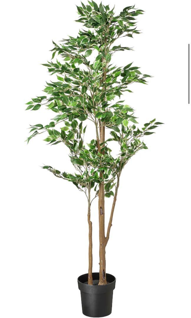IKEA artificial plant, Furniture & Home Living, Home Decor, Artificial