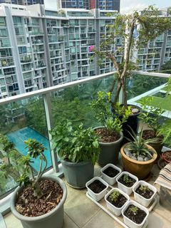 (Category: ) located in . Submitted by bart17 (Listing ID 1090555890, Image 1). Description: .