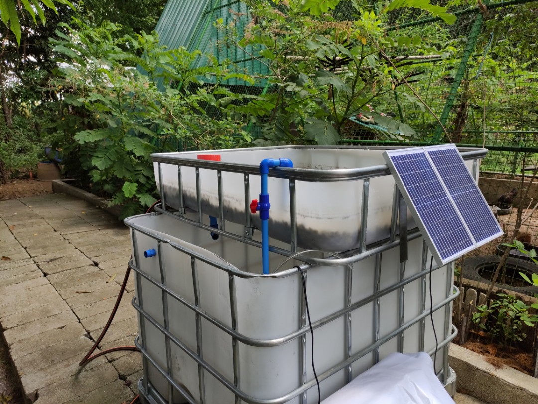 SOLAR Aquaponic Tank system, Sports Equipment, Fishing on Carousell