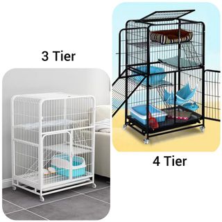 (Category: ) located in . Submitted by paws_n_love (Listing ID 1090793168, Image 1). Description: .