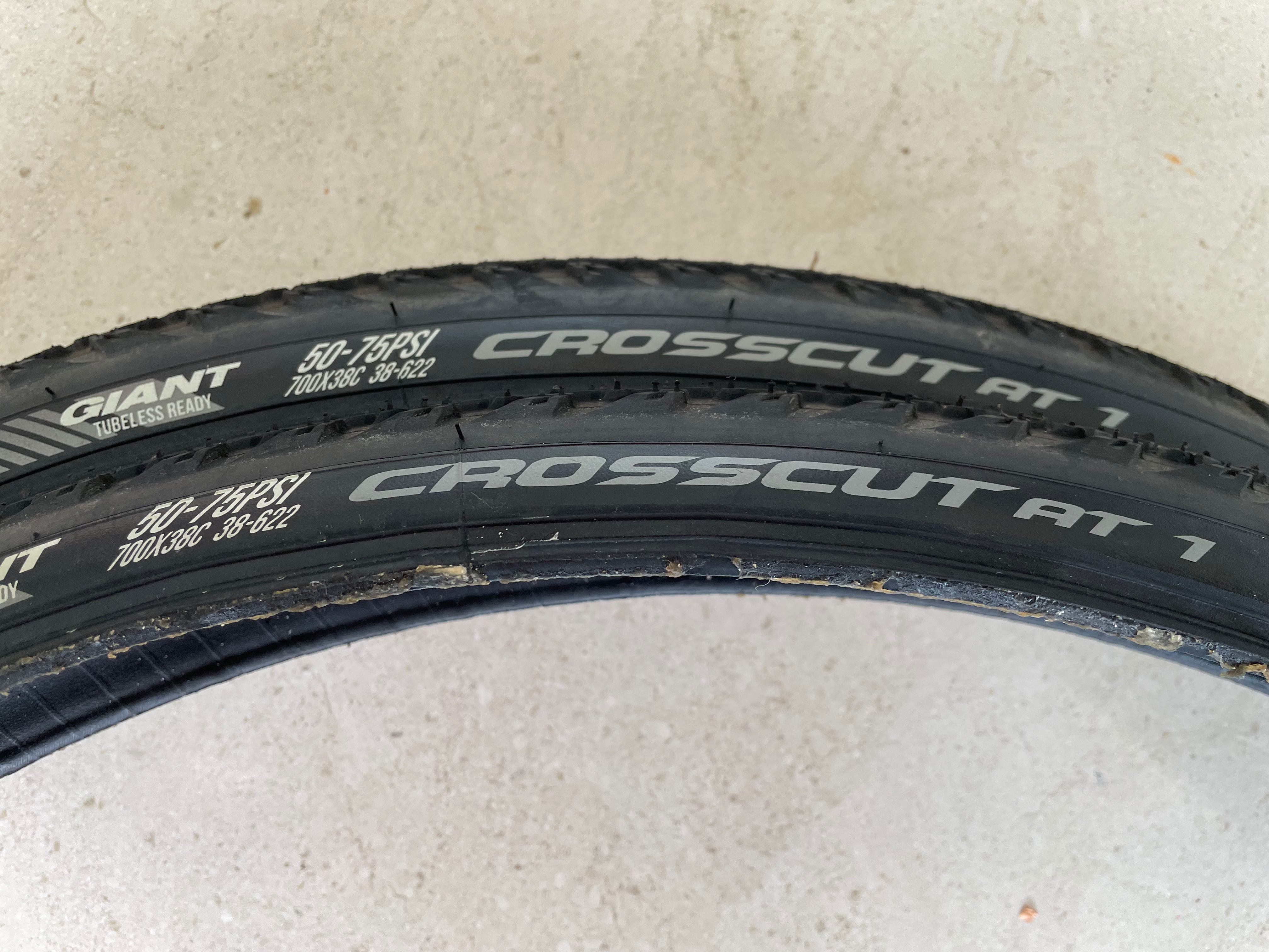 Giant crosscut hot sale at 1