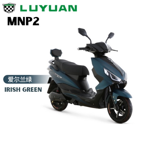 Luyuan 2025 electric bike
