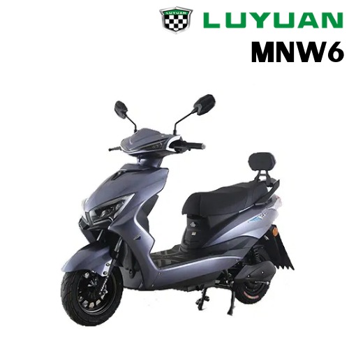 LUYUAN E Motor MNW6 Electric Motor Motorcycle MNW6