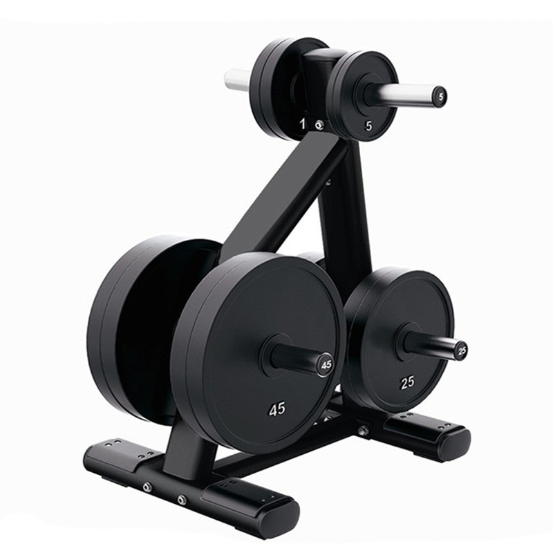 Life Fitness Cybex Dumbbell Rack Cybex Ion Vertical Medicine Ball