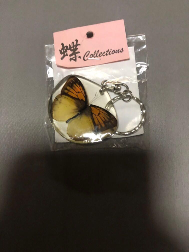 Real butterfly keychain outlet