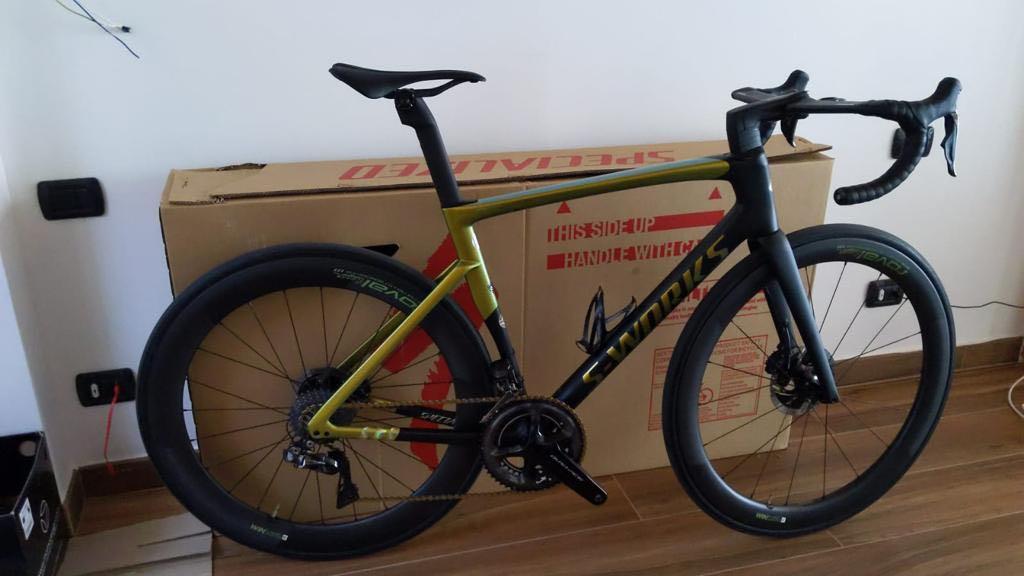 Sl7 2025 peter sagan