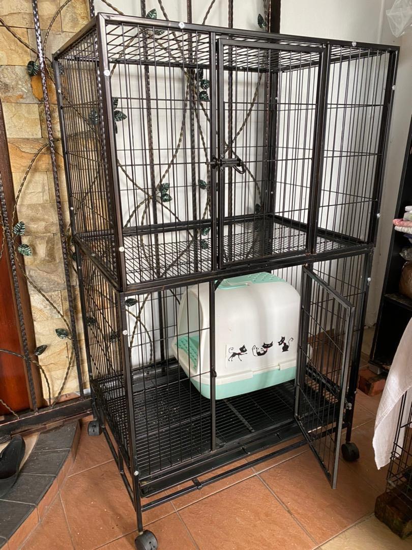 Sangkar kucing, Pet Supplies, Pet Accessories on Carousell