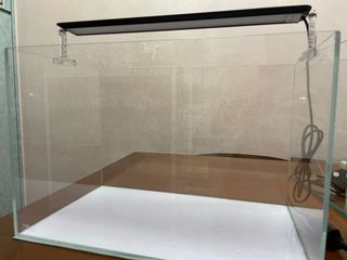 （分類：）位於 。 由 carlos90 提交（商品編號 1090681810，圖片 1）。簡介： 。