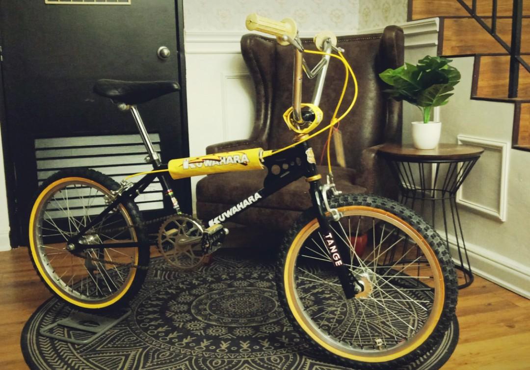 Kuwahara apollo 2025
