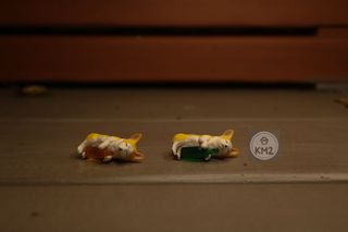 （分類：）位於 。 由 rarebeans 提交（商品編號 1085503047，圖片 1）。簡介： 。