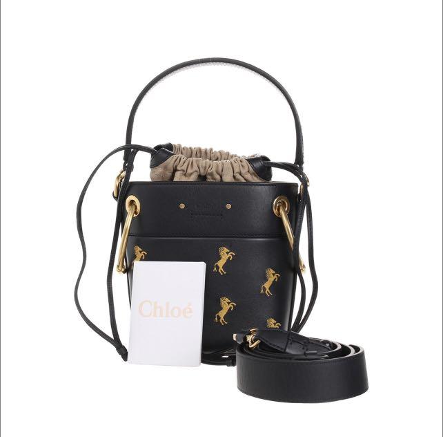 Chloe roy clearance bag
