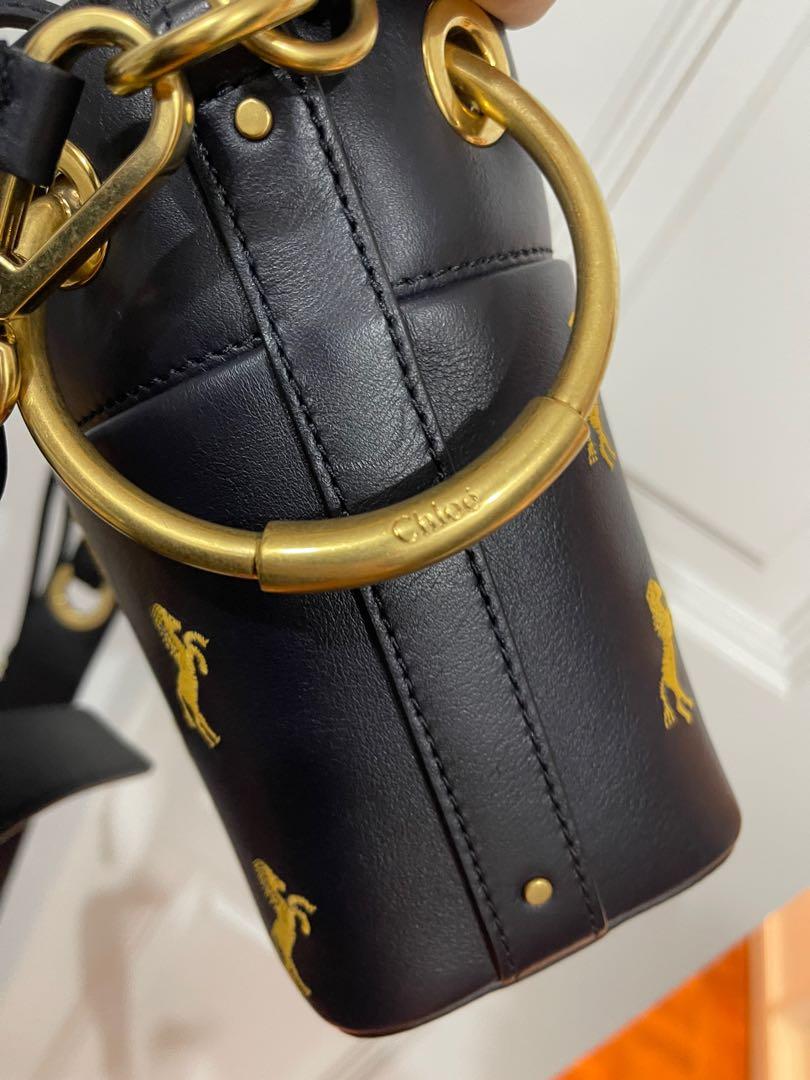 Chloe roy mini discount smooth leather bucket bag