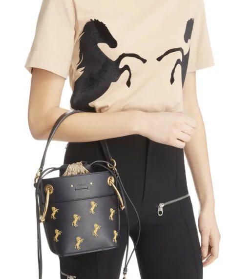 Authentic Chloe Roy Mini Embroidered Leather Bucket Bag Limited