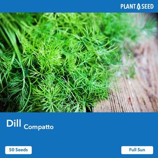 (Category: ) located in . Submitted by plantaseed (Listing ID 1085459774, Image 1). Description: .