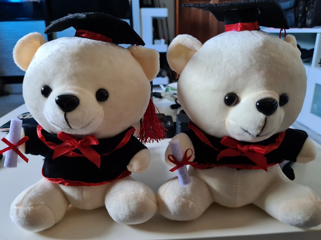 Graduation soft toy bear, Hobbies & Toys, Toys & Games on Carousell