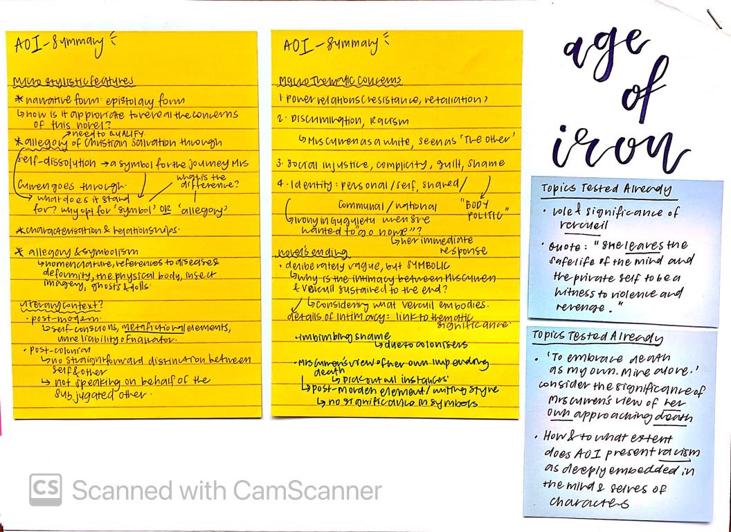 H2 Literature in English Age of Iron Notes, Hobbies & Toys, Books