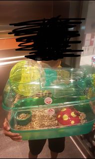 (Category: ) located in . Submitted by mealybugs (Listing ID 1085429243, Image 1). Description: .