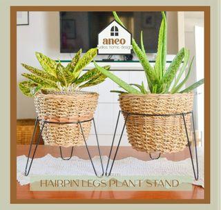 Metal Plant Stand Hairpin Legs