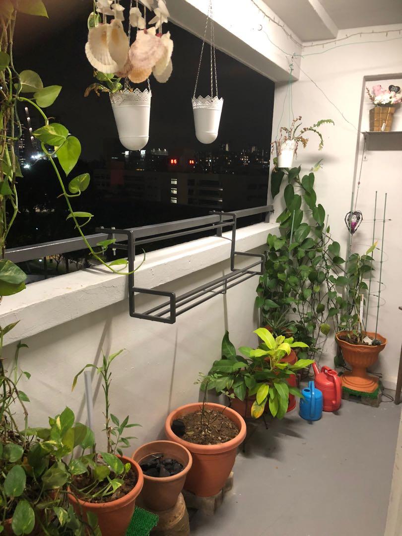 Modern Heavy Duty MIni Standard Plant rack balcony Display shelf for