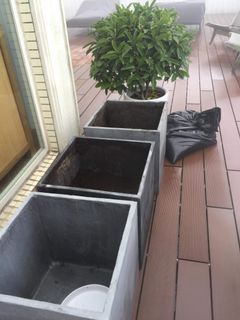 （分類：）位於 。 由 ameng3 提交（商品編號 1085419061，圖片 1）。簡介： 。