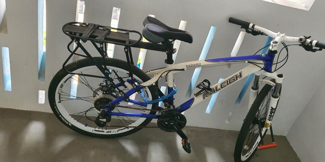 Raleigh enduro pro top
