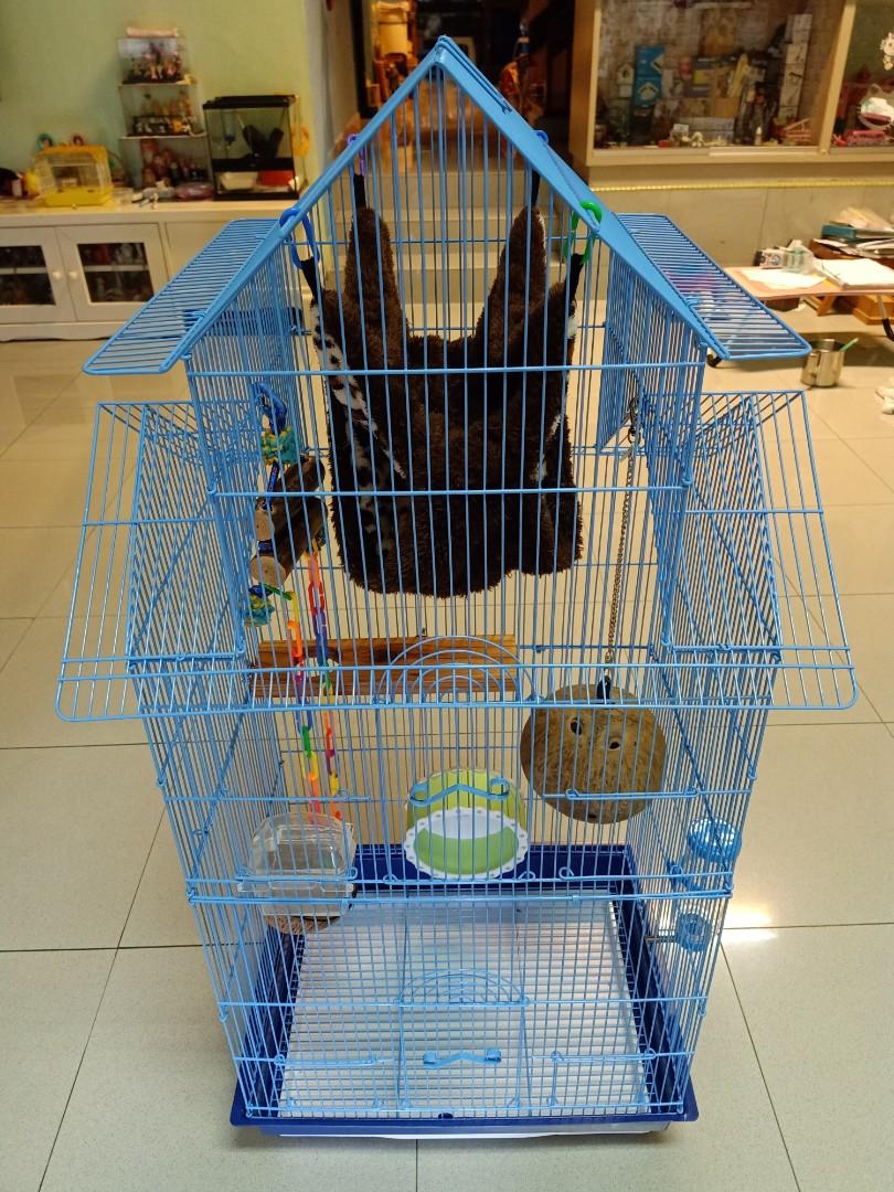 Tall sugar shop glider cage