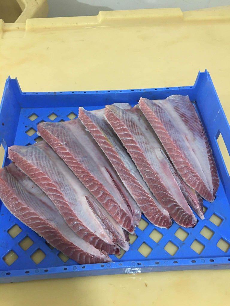 Tuna Belly, Food & Drinks, Chilled & Frozen Food on Carousell