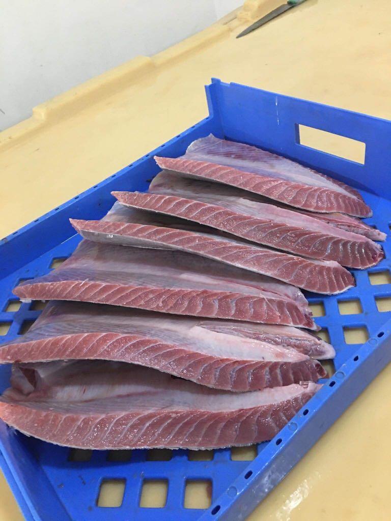 Tuna Belly, Food & Drinks, Chilled & Frozen Food on Carousell