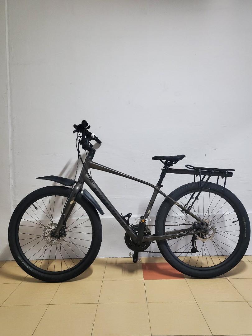 Specialized roll 2025 sport eq