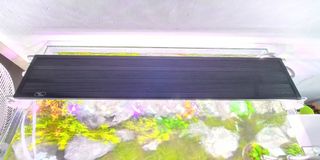 (Category: ) located in . Submitted by alvcw (Listing ID 1090961403, Image 1). Description: .