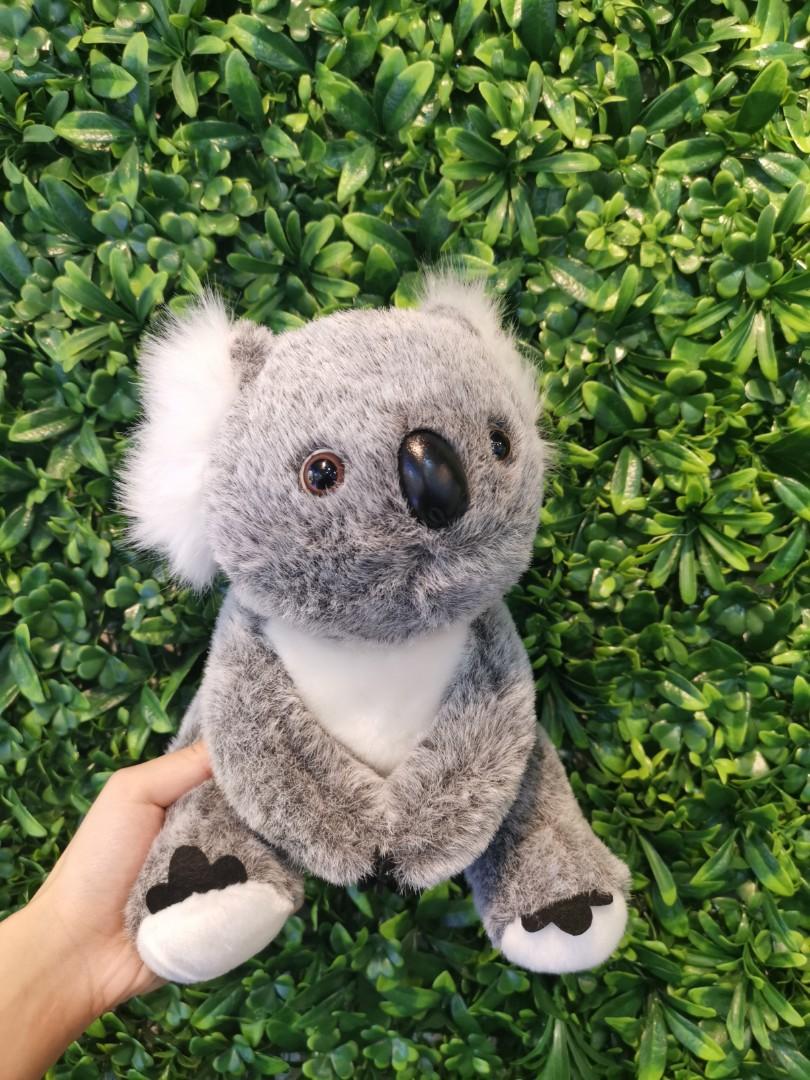 cute koala teddy
