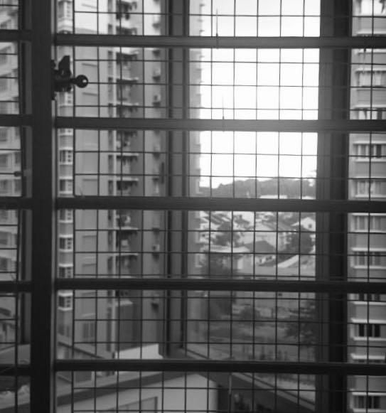 Daiso Wire Mesh 26x40cm (white) , Pet Supplies, Homes & Other Pet