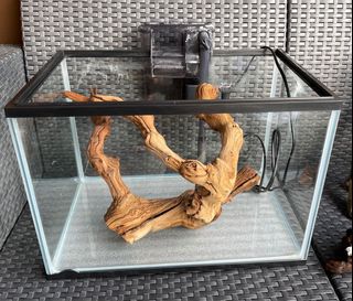(Category: ) located in . Submitted by janson14 (Listing ID 1090895377, Image 1). Description: .