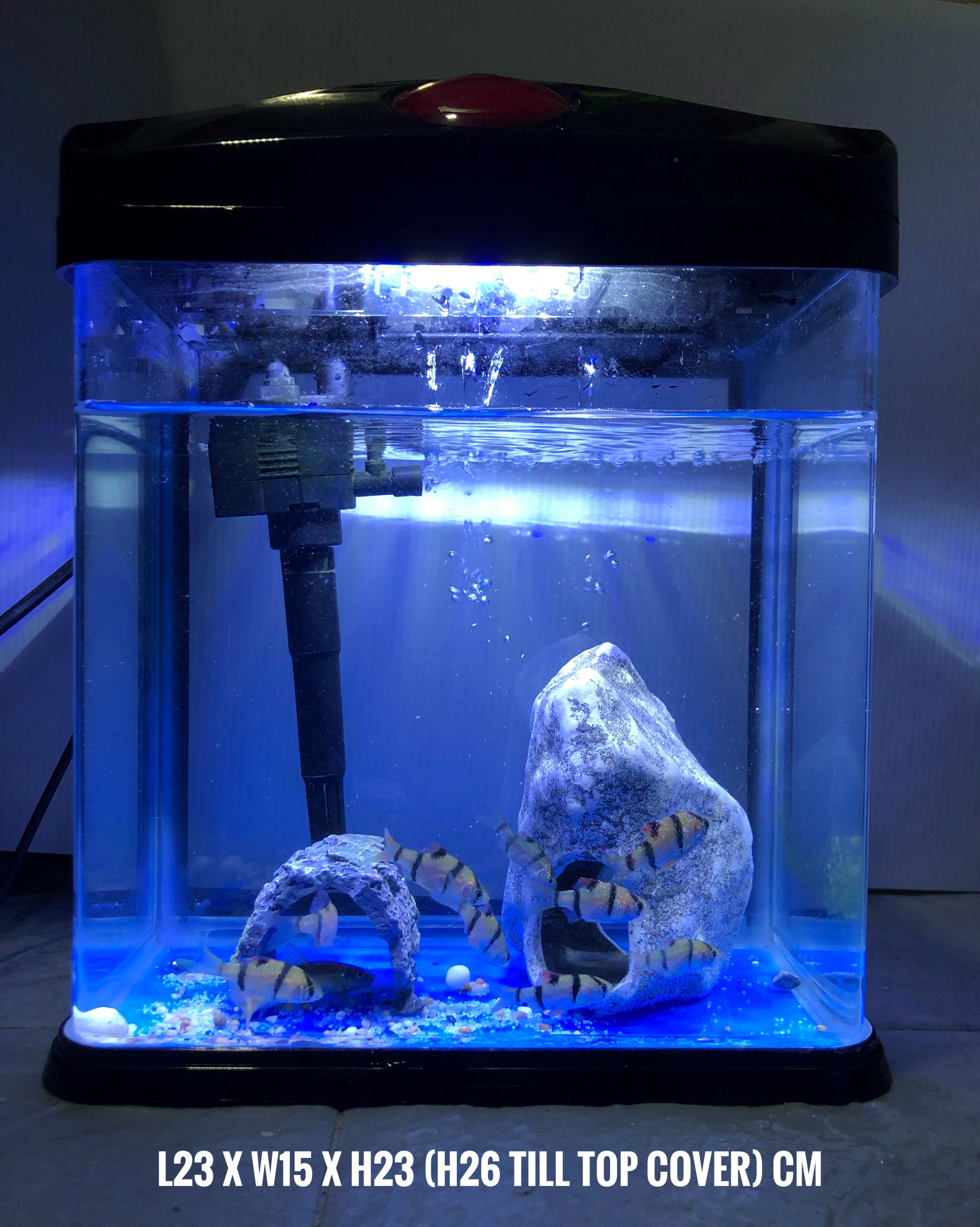 Fish Tank Set (Small Desktop Type), Pet Supplies, For Fish, Fish Tanks