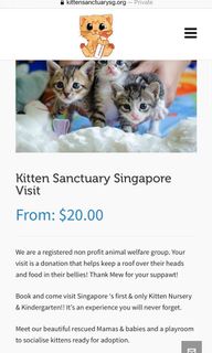 (Category: ) located in . Submitted by psjbels (Listing ID 1090999648, Image 1). Description: .