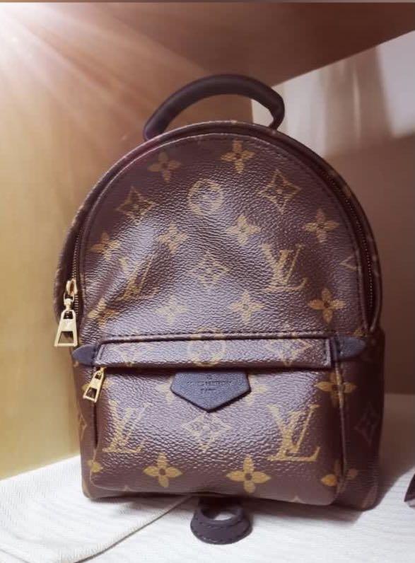 Louis Vuitton Palm Springs Mini Old Zipper